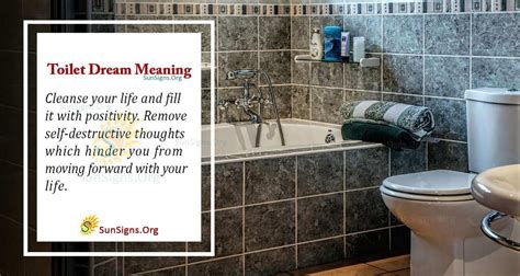 10 Dreams About Toilets, Meaning & Interpretation.